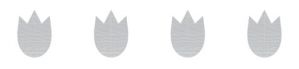 Fasad-A5-format.jpg
