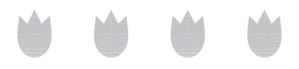 Fasad-A5-format.jpg